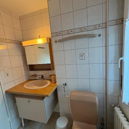 Sonniges Im Zentrum Mit Bergblick Διαμέρισμα *